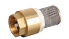 Crépine+clapet 1" inox