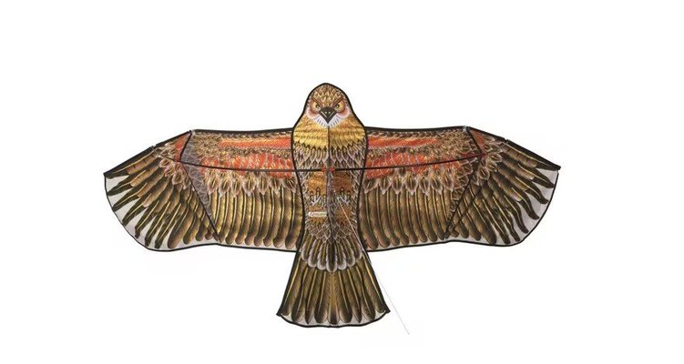 Divers - Non définie - Cerf volant effaroucheur 1,75m
