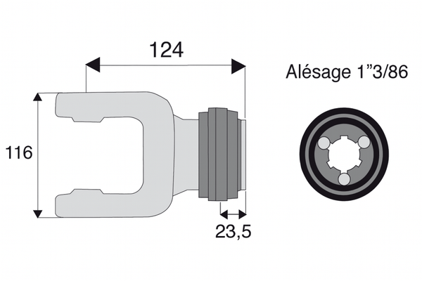 Divers - Non définie - MACHOIRE