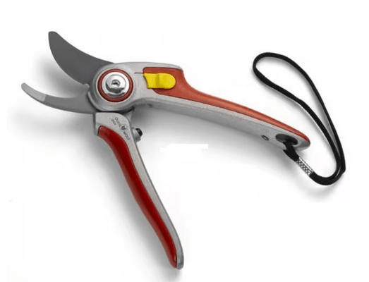 Divers - Non définie - Sécateur 25mm