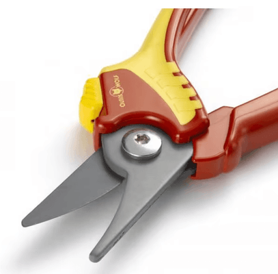 Divers - Non définie - Sécateur taille M