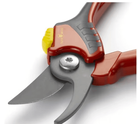 Divers - Non définie - Sécateur taille M