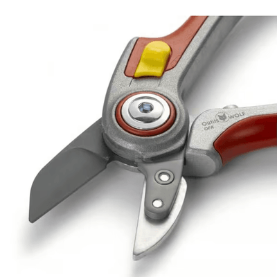 Divers - Non définie - Sécateur à enclume professionnel