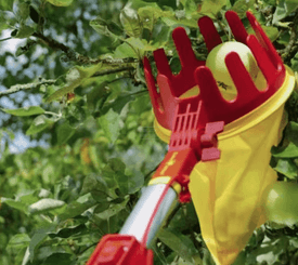 Divers - Non définie - Cueille-fruits