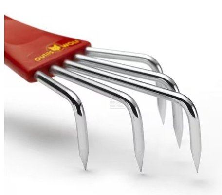 Divers - Non définie - Petite griffe a fleurs