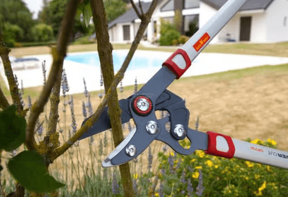 Divers - Non définie - Elagueur coupe mixte 45mm