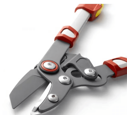 Divers - Non définie - Elagueur téléscopique coupe mixte