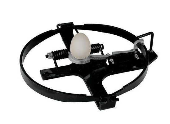 Divers - Non définie - PIEGE A OEUF