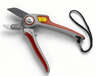 Divers - Non définie - Sécateur à enclume professionnel