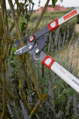 Divers - Non définie - Elagueur coupe mixte 45mm