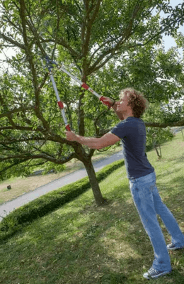 Divers - Non définie - Elagueur téléscopique coupe mixte