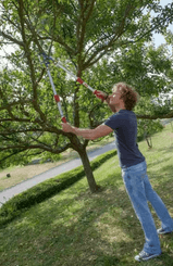 Divers - Non définie - Elagueur téléscopique coupe mixte