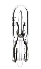 Divers - Non définie - Ampoule 12V x 1,2W, W2x4,6d (x2)