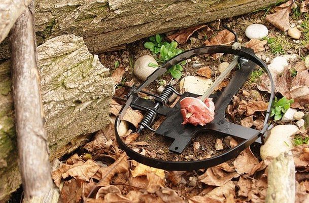 Divers - Non définie - PIEGE A APPAT