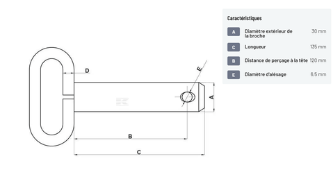 Divers - Non définie - Axe avec poignée 30x120mm