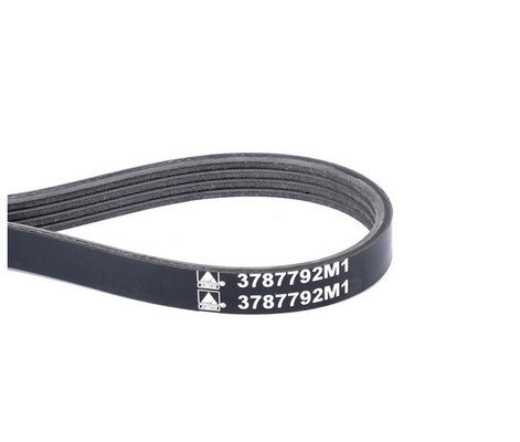 Divers - Non définie - COURROIE