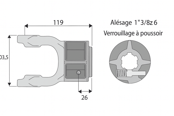 Divers - Non définie - Machoire