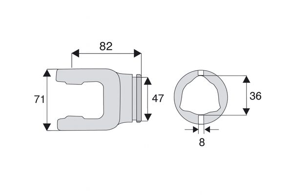 Divers - Non définie - MACHOIRE