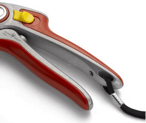 Divers - Non définie - Sécateur 25mm