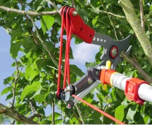 Divers - Non définie - Echenilloir orientable, coupe franche 36mm