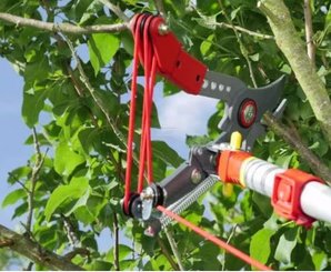 Divers - Non définie - Echenilloir orientable, coupe franche 36mm