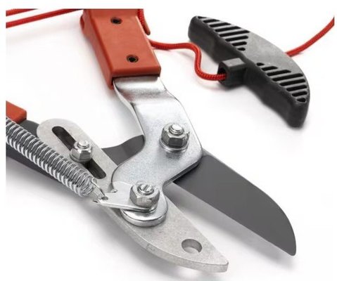 Divers - Non définie - Echenilloir coupe enclume 38mm