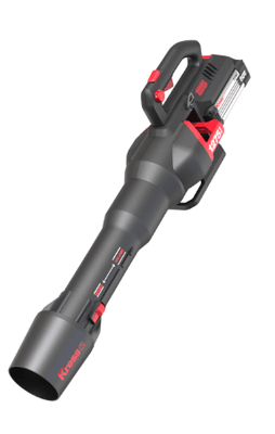 Souffleurs de feuilles - KG560E9